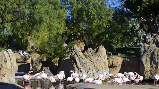 Bioparc  Valencia se suma a la campaña contra el cambio climático