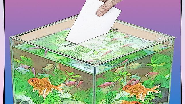 El año con cuatro elecciones puede ser convulso o decisivo para quienes no tienen aún su voto orientado. Se verá