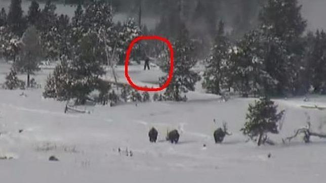 El «bigfoot» vuelve a «aparecer» en el parque Yellowstone