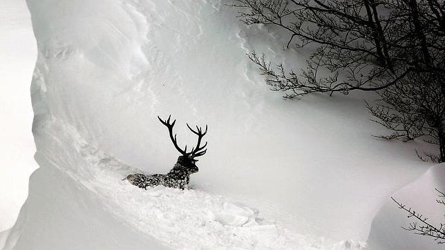 Protección Civil alerta de fuertes nevadas en el Cantábrico entre hoy y mañana