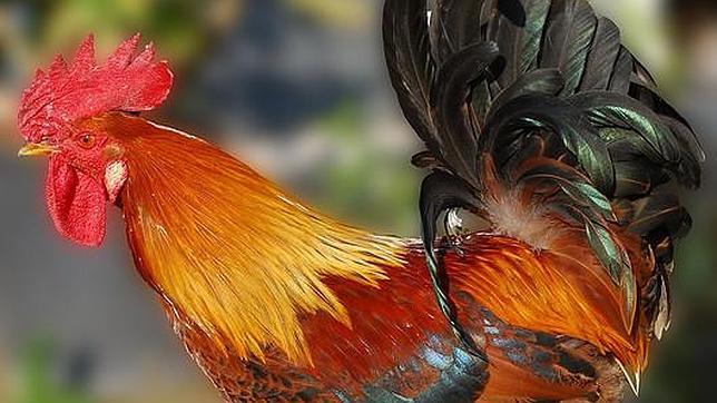 Aprende a aceptar a la otra persona para poder tener una relación saludable