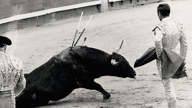 Gregorio Sánchez aguarda la muerte del toro