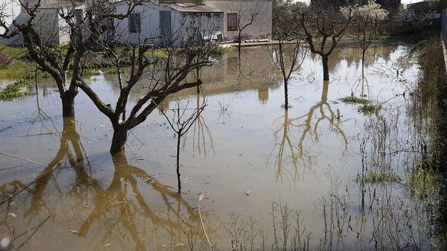 La riada del Ebro no remite y el caudal vuelve a subir en Logroño