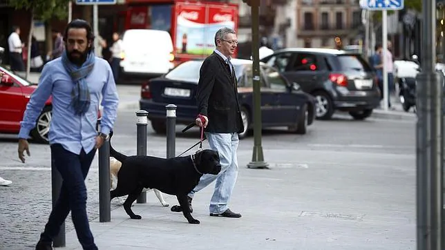 Gallardón, de paseo con sus perros en Madrid