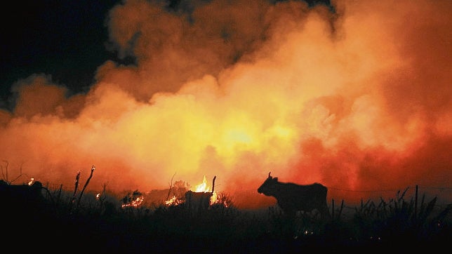 Se contratarán 19 helicópteros para la lucha contra los incendios forestales