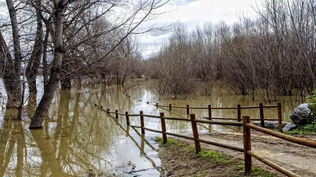 Imagen de una de las últimas crecidas del Ebro