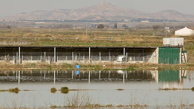 Los agricultores valencianos proponen trasvasar 100 hectómetros anuales del Ebro