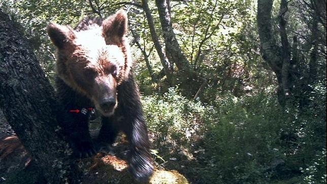 Bruselas abre expediente de infracción a España por la gestión de Red Natura 2000