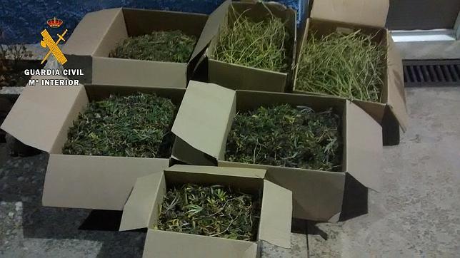 Dos detenidos de 37 y 79 años con 9,5 kilos de marihuana en Urda