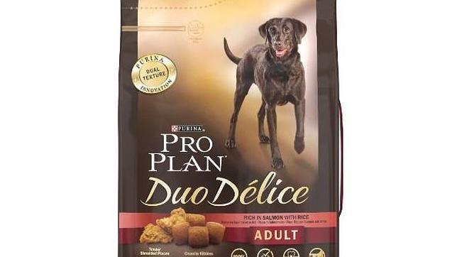 12 piensos para todos los gustos