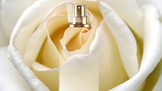 Crea tu propio perfume que refleje tu yo más íntimo según tu personalidad