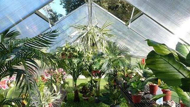 «Naturaleza nominal», en el Centro de Arte Dos de Mayo de la Comunidad de Madrid