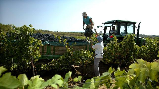 WWF considera un «fracaso millonario» las inversiones para ahorrar agua en el regadío