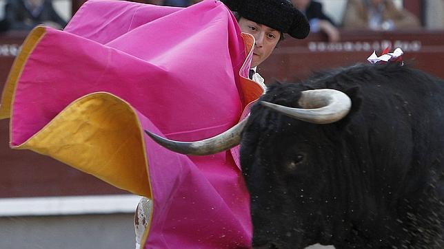 Agreden al mayoral de la ganadería brava de Los Bayones y roban 15 becerros