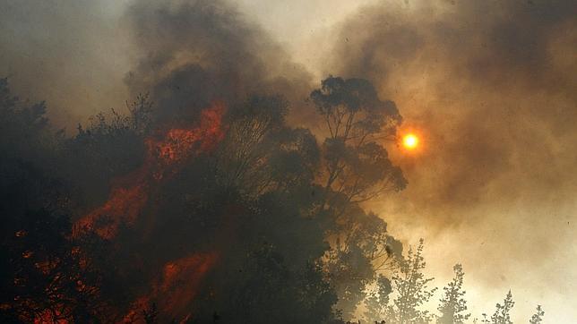 Extinguido un incendio registrado en A Lama que arrasó 50 hectáreas