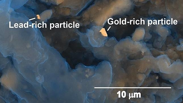 Detectan oro y metales preciosos en las heces humanas