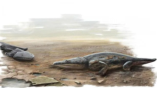 El Metoposaurus algarvensis pasaba la mayor parte del tiempo en el agua