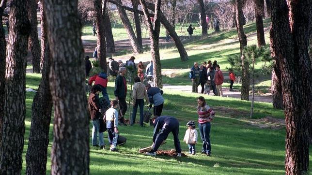 Algunos ciudadanos madrileños plantan árboles en la Dehesa de la Villa