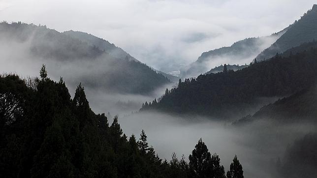 Kumano Kodo: La versión japonesa del Camino de Santiago