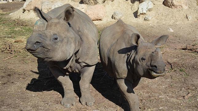 Terra Natura Benidorm, una década de conservación animal y diversión en familia