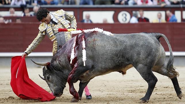 Iván Fandiño, gris plomo y oro