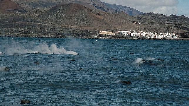 El volcán «Hijo de Tenerife» sacude el mar con 24 terremotos en tres meses