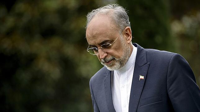 El Jefe de la Organización de Energía Atómica de Irán, Ali Akbar Salehi
