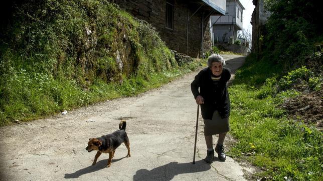 Denuncia ante el alarmante número de perros encadenados en Galicia