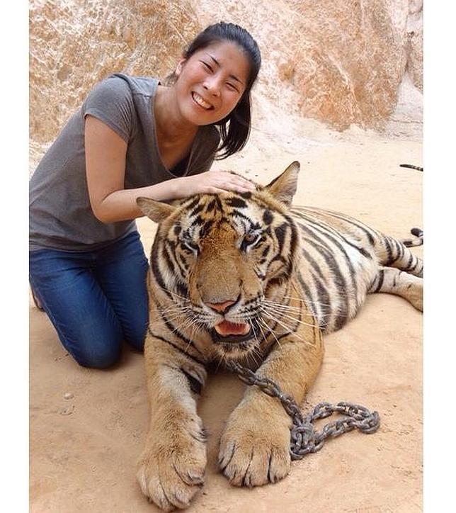 Una turista comparte en Twitter su selfie con un ejemplar del Templo del Tigre