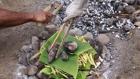 El estilo de vida occidental puede limitar la diversidad de la flora intestinal