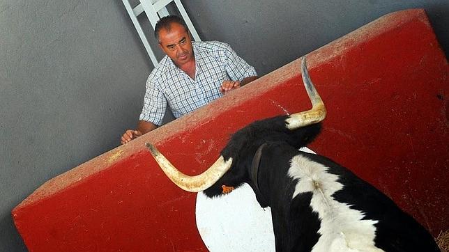 «El gran problema de los toros es la gente que está dentro»