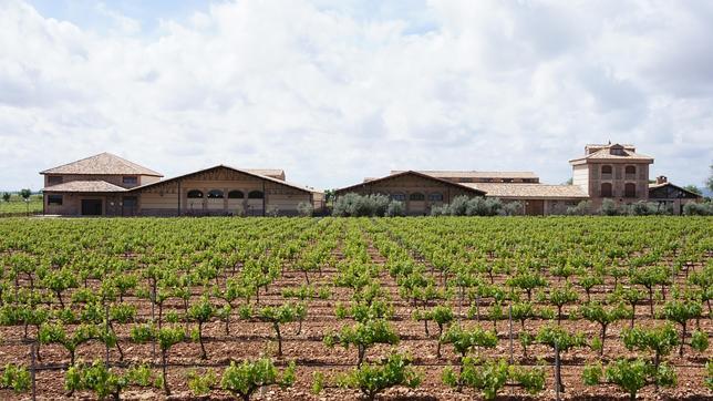 Bodega Pago Casa del Blanco
