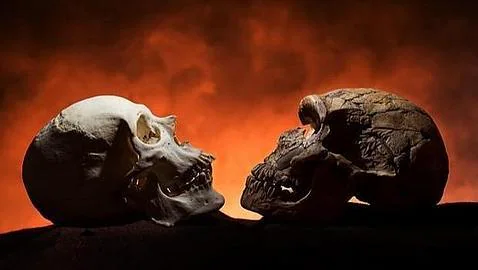 Un cráneo humano, con su barbilla (izda.), y otro de neandertal, sin ella