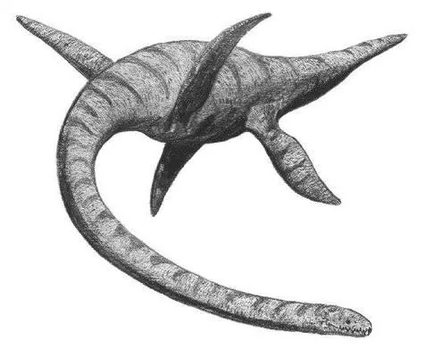 Representación de un Plesiosaurio