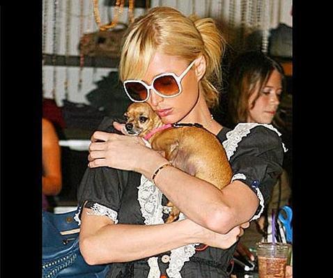 Paris Hilton, devastada tras la muerte de su chihuahua Tinkerbell