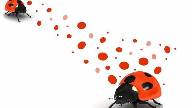 Mucho más que granos. El virus del sarampión puede refugiarse en el sistema nervioso y causar complicaciones