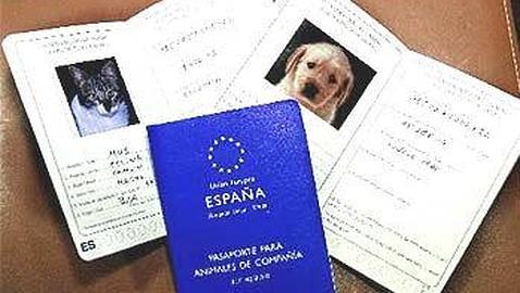 necesitas un pasaporte para perros para ir al sur de irlanda