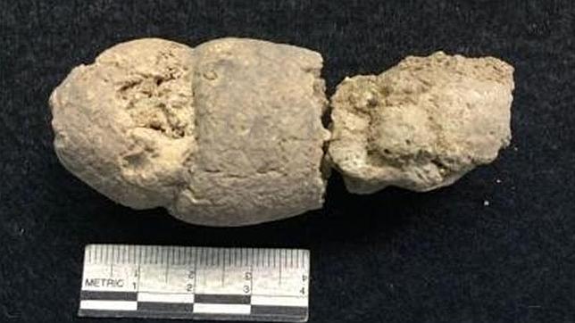 Heces fosilizadas o «coprolitos»