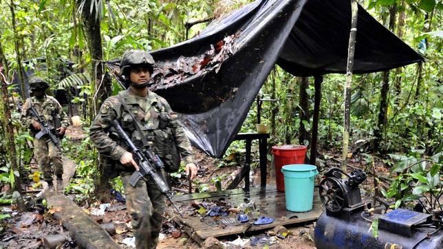 ¿Qué hacer con la coca que está inundando Colombia?