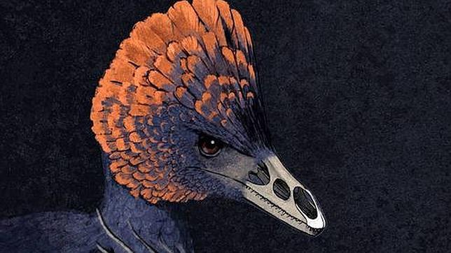 Crean un «dino-pollo» con hocico de Velociraptor