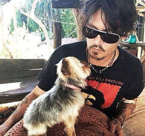 Johnny Depp junto a uno de sus perros