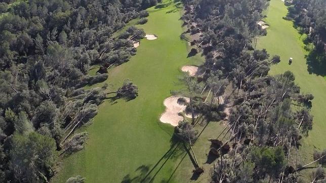 La increíble resurrección del campo de golf que perdió 3.600 árboles