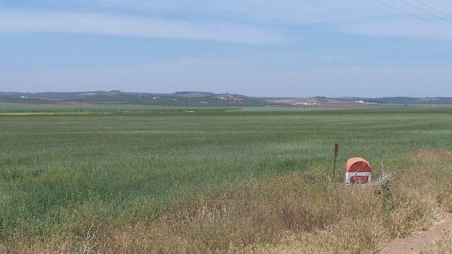 El biocarbón, un abono que combate el cambio climático