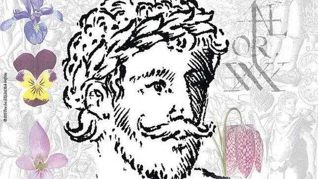 La supuesta imagen del rostro de Shakespeare, que el historiador Mark Griffiths ha encontrado en un libro de botánica de finales del siglo XVI