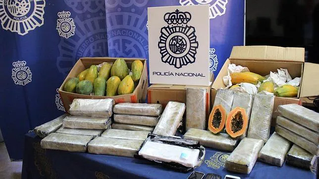 El cargamento de papayas que la Policía se ha incautado por ocultar droga entre la fruta