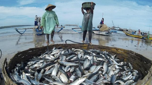 La igualdad de género en el sector pesquero garantizaría la seguridad alimentaria