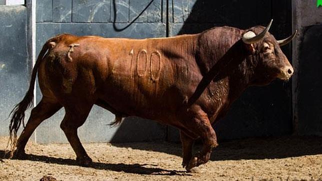 Último toro de la tarde