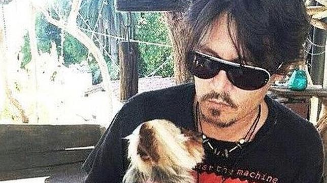 Johnny Depp podría ir a la cárcel por introducir ilegalmente a sus perros en Australia