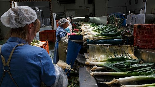 Respaldo a la economía rural