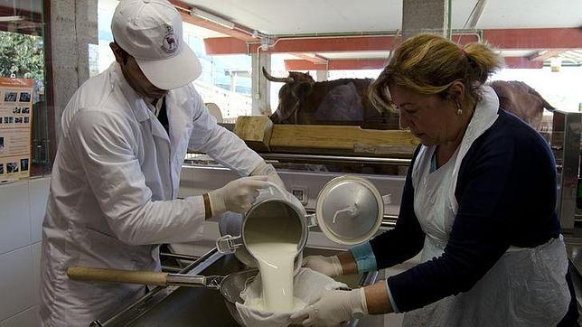 Filtrado de la leche